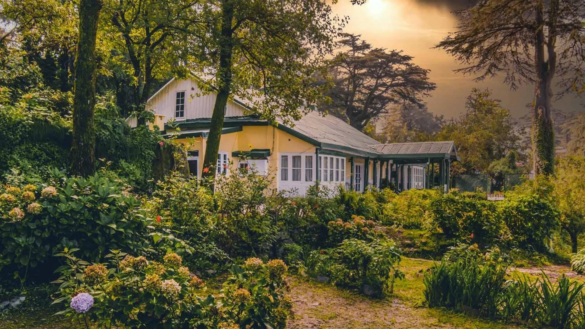 Stayvista At Rose Cottage - Bonfire & Scenic View Shimla Villa