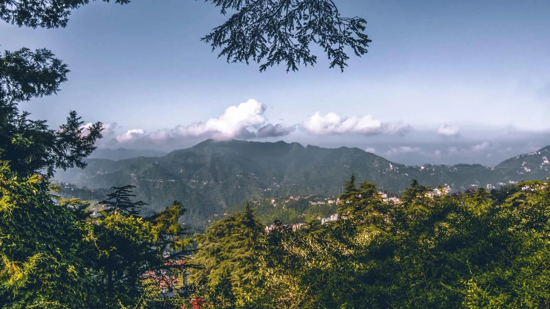 Stayvista At Rose Cottage - Bonfire & Scenic View Shimla India