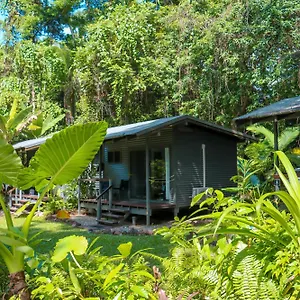 Safari , Cape Tribulation Australia